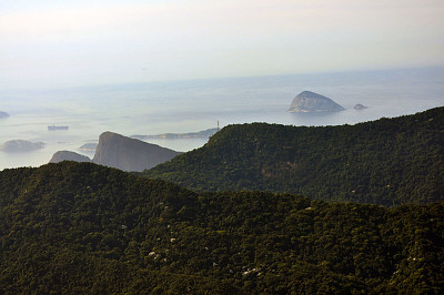 פאזל של Floresta da Tijuca - Rio de Janeiro