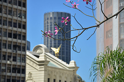 Centro do Rio de Janeiro - Brasil