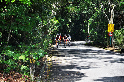 Vista Chinesa - Rio de Janeiro - Brasil jigsaw puzzle