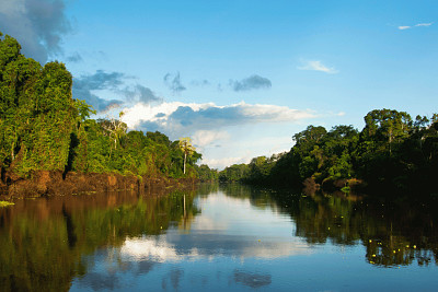 Amazonia