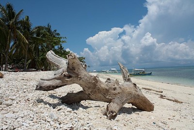 Malapascua jigsaw puzzle