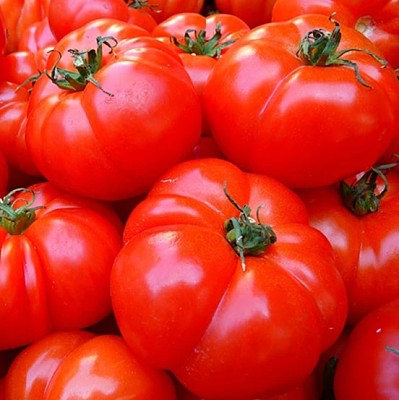 tomatoes