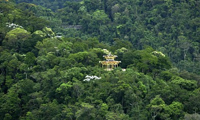 Floresta da Tijuca - RJ jigsaw puzzle