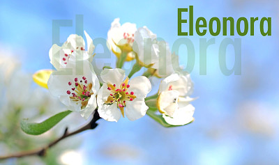 Fiori per Ele