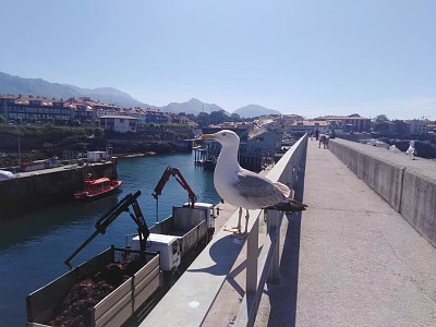 llanes jigsaw puzzle