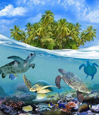 animales jigsaw puzzle