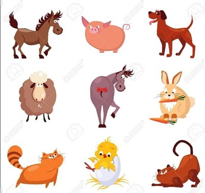 Animales