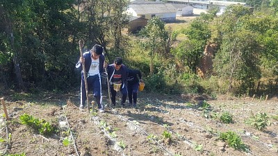 פאזל של proyecto estudiantil