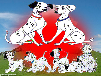 dalmata jigsaw puzzle