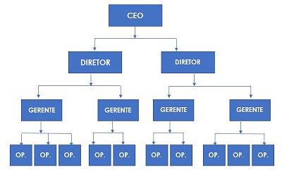 פאזל של Estrutura-Organizacional