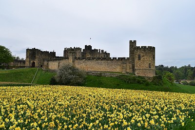 Alnwick Castle, Northumberland, England jigsaw puzzle