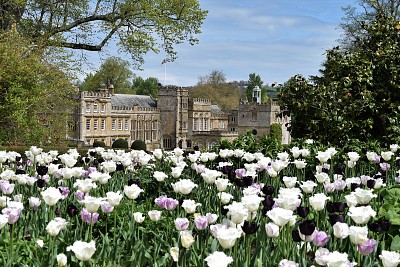 Forde Abbey 1, Dorset, England