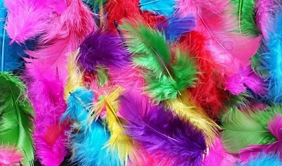 feathers