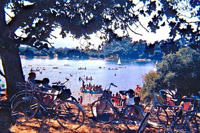 Lake Lagunita jigsaw puzzle