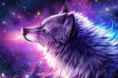 Anime Galaxy Wolves