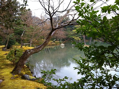 Japon - Kyoto - paysage 2