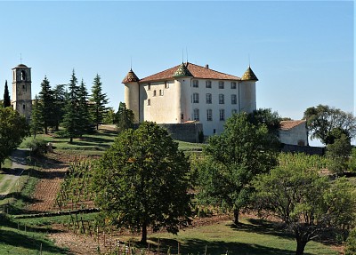 ChÃ¢teau d 'Aiguines jigsaw puzzle