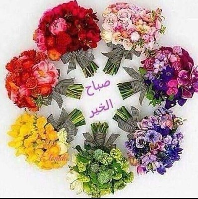 ÙˆØ±Ø¯