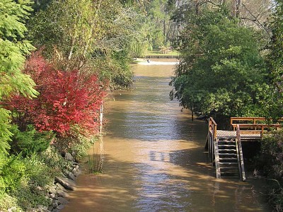 פאזל של Delta del Tigre