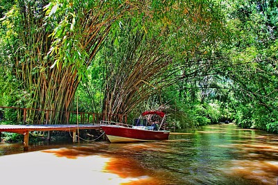 Tigre Argentina