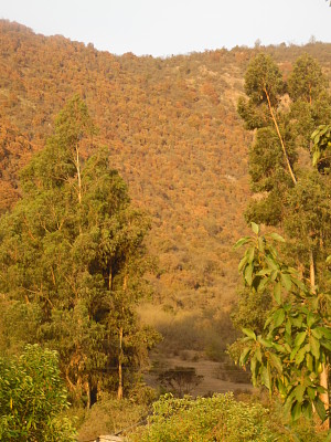 cerro Hijuelas