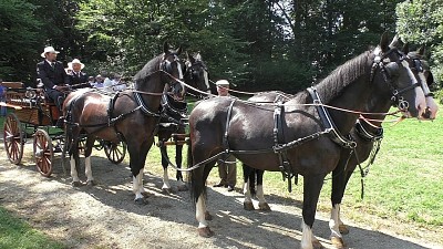 attacco carrozza a 4 cavalli