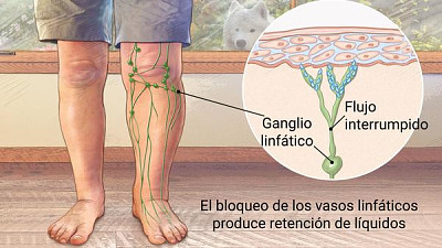 tarea ciencias sociales jigsaw puzzle