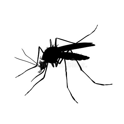 פאזל של mosquito