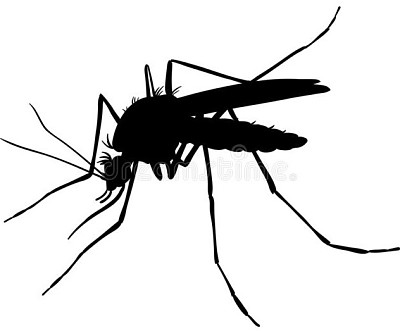פאזל של dengue