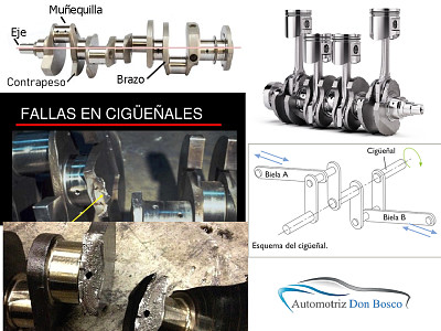 completar el rompecabezas del cigueÃ±al propuesto