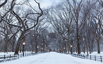 snowy day jigsaw puzzle