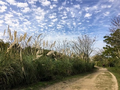 Reserva ecolÃ³gica caba