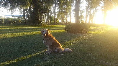 Atardecer en el campo