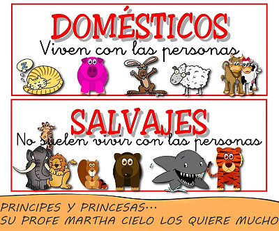 פאזל של ANIMALES SALVAJES Y DOMÃ‰STICOS