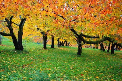 autunno