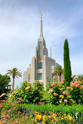 ROME ITALY TEMPLE Thru My Eyes