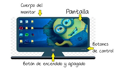 Partes del monitor