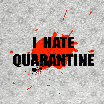 I hate Quarantine Boiz or girlz LOL
