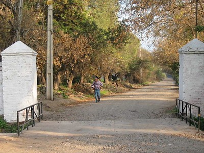 entrada maitenes Hijuelas