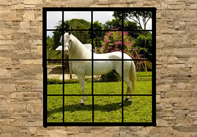 blanquito jigsaw puzzle