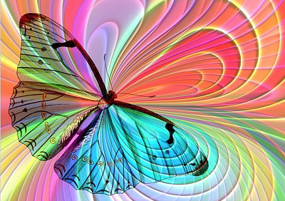 פאזל של Papillon