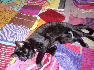 פאזל של Whoopi on her knitted blanket