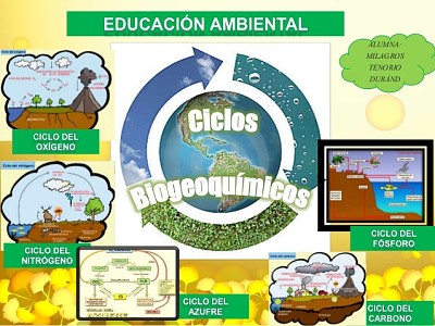 CICLOS BIOGEOQUIMICOS