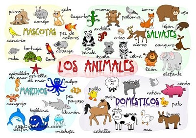 פאזל של CLASES DE ANIMALES