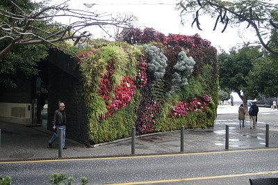 Madeira