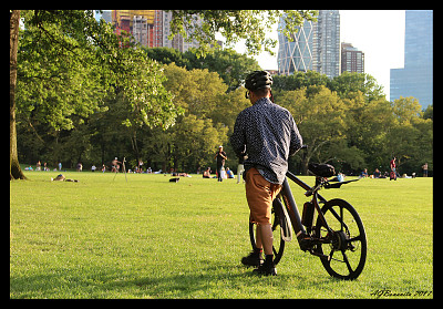 Central Park jigsaw puzzle