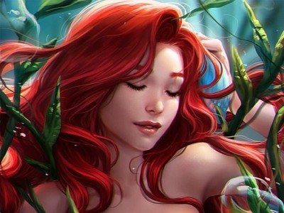 Ariel jigsaw puzzle