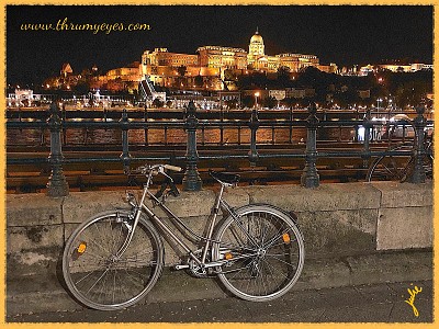 Bike along the Danube with Palace in the distance jigsaw puzzle