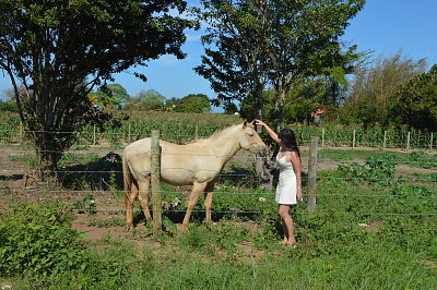 פאזל של Farm