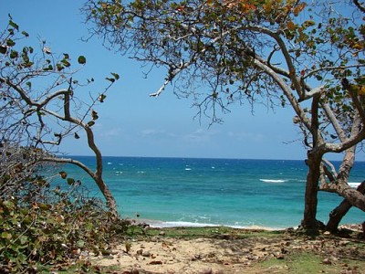 Cuba - La Havane en bord de mer